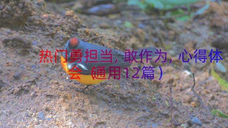 热门勇担当,敢作为,心得体会（通用12篇）