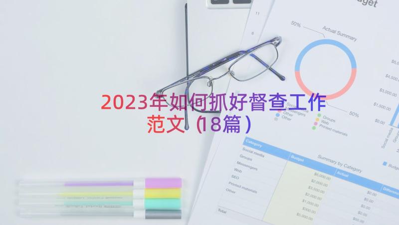 2023年如何抓好督查工作范文（18篇）