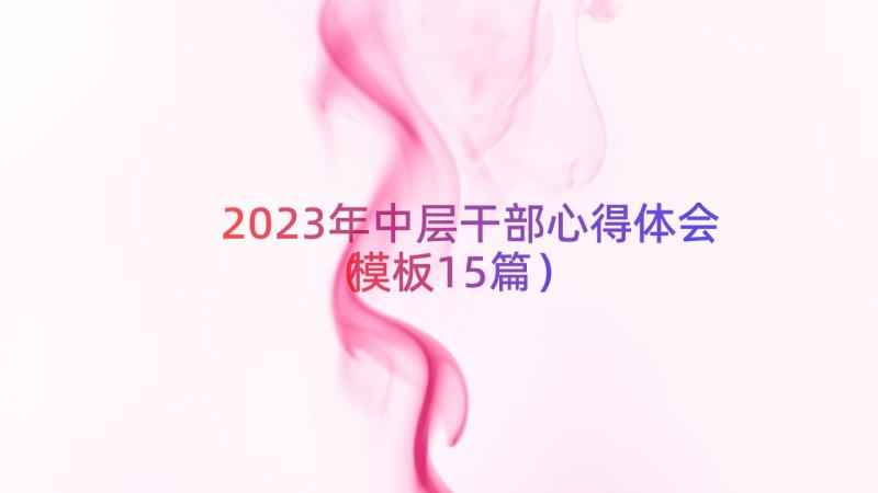 2023年中层干部心得体会（模板15篇）