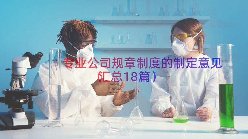 专业公司规章制度的制定意见（汇总18篇）