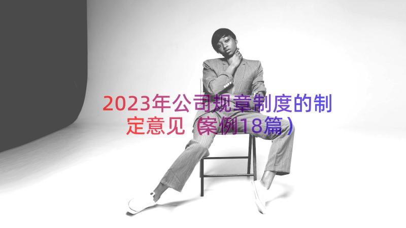 2023年公司规章制度的制定意见（案例18篇）