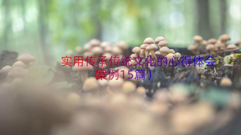 实用传承传统文化的心得体会（案例15篇）