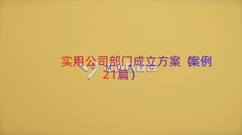 实用公司部门成立方案（案例21篇）