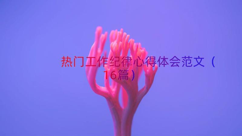 热门工作纪律心得体会范文（16篇）