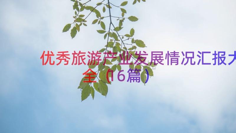 优秀旅游产业发展情况汇报大全（16篇）