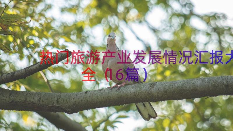 热门旅游产业发展情况汇报大全（16篇）