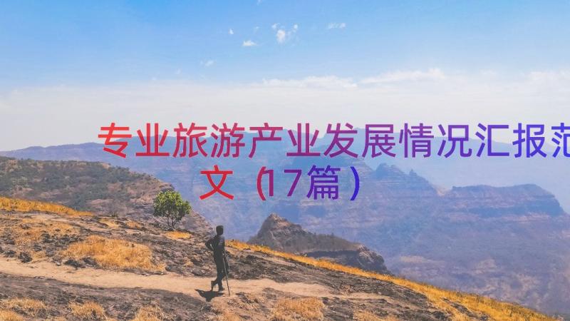 专业旅游产业发展情况汇报范文（17篇）