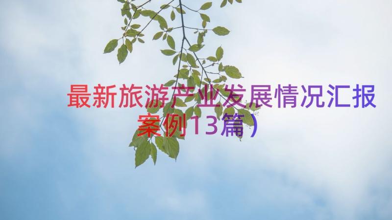 最新旅游产业发展情况汇报（案例13篇）