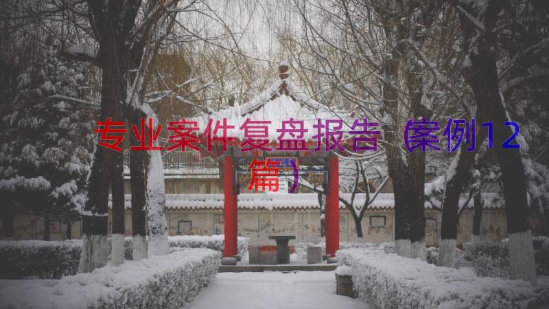 专业案件复盘报告（案例12篇）