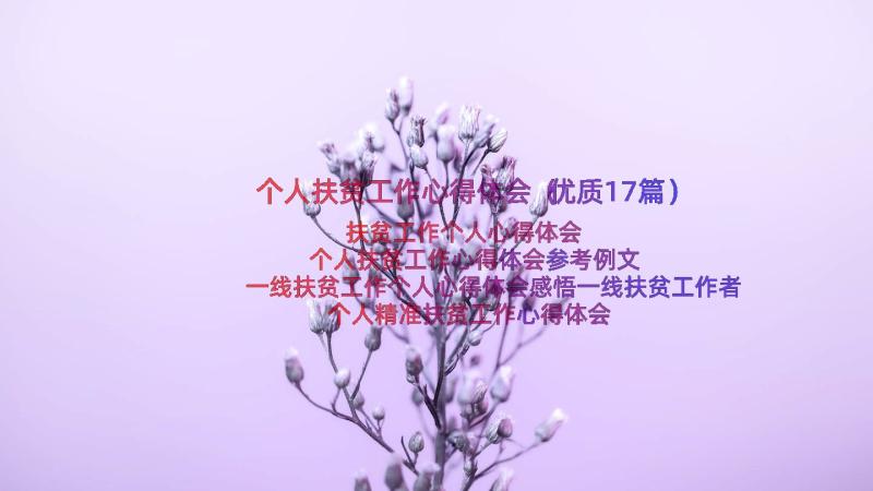 个人扶贫工作心得体会（优质17篇）