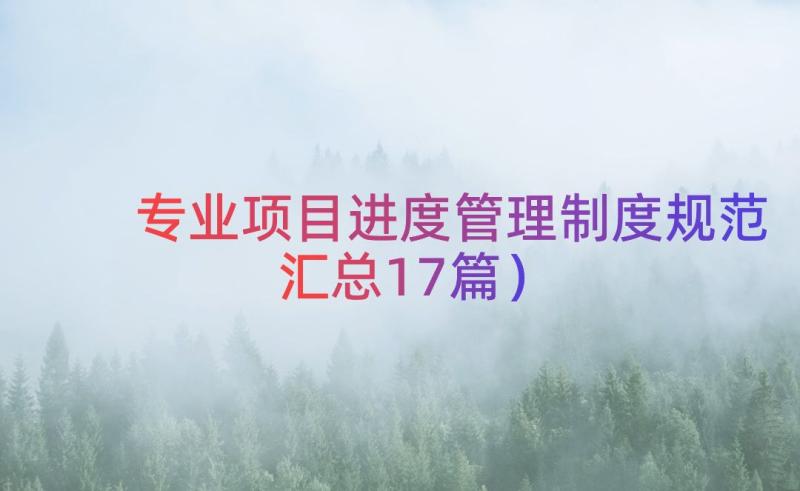 专业项目进度管理制度规范（汇总17篇）