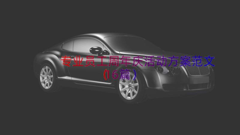 专业员工周年庆活动方案范文（16篇）