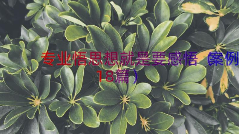 专业悟思想就是要感悟（案例18篇）