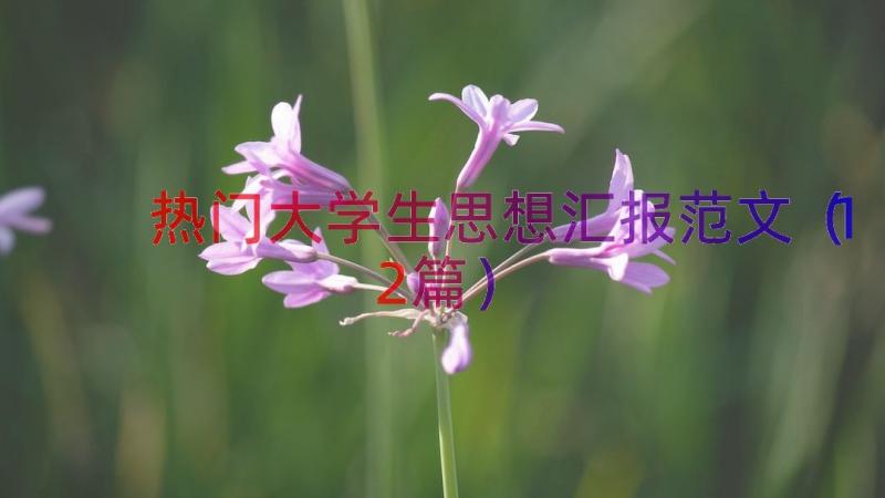 热门大学生思想汇报范文（12篇）