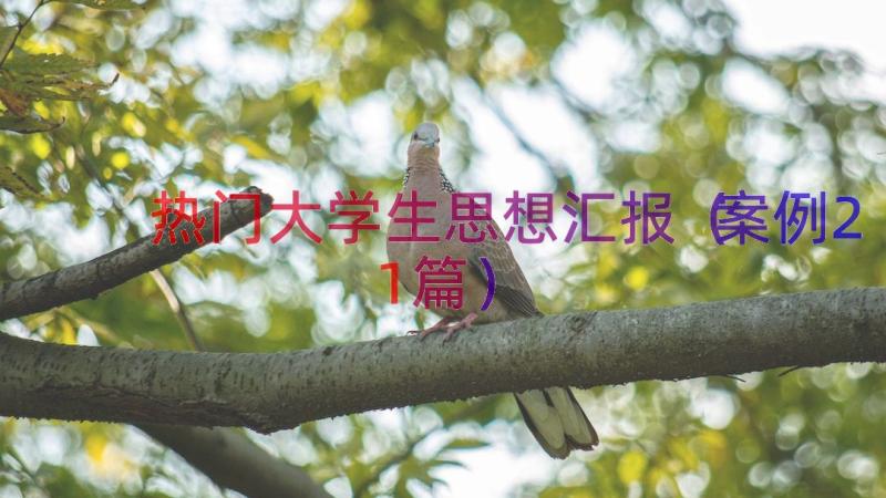 热门大学生思想汇报（案例21篇）