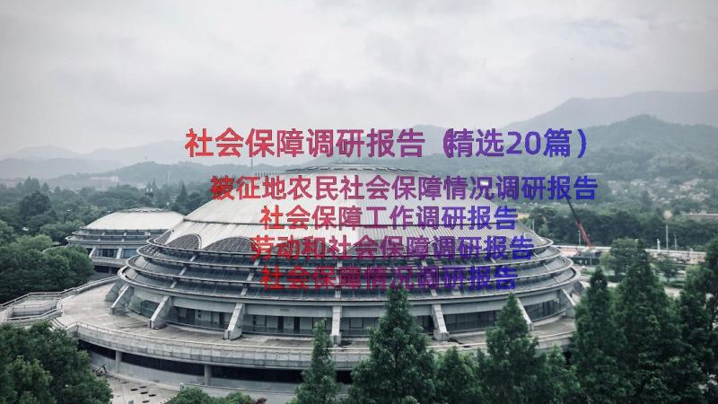 社会保障调研报告（精选20篇）