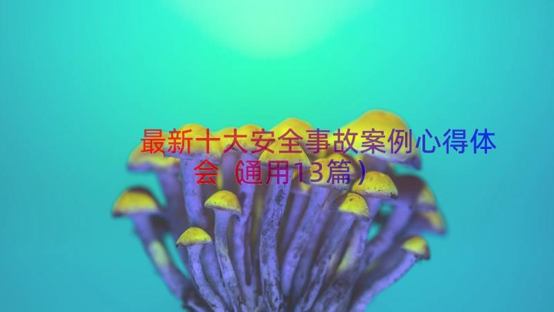 最新十大安全事故案例心得体会（通用13篇）