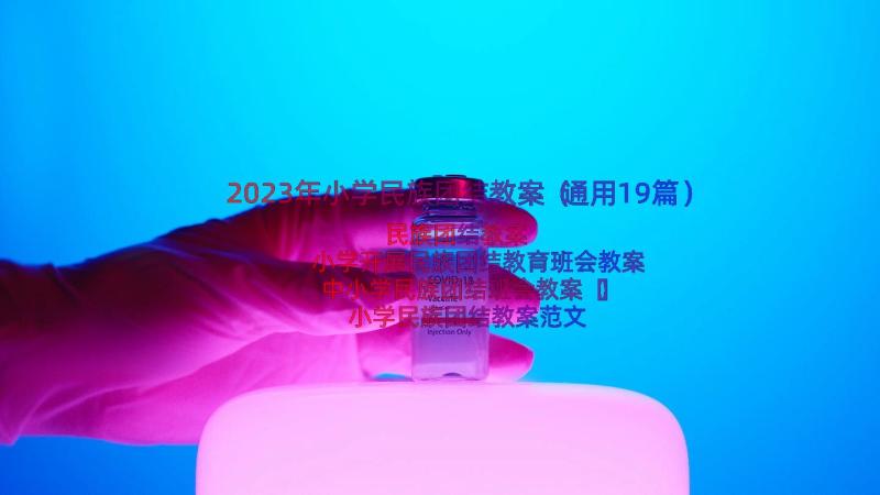 2023年小学民族团结教案（通用19篇）