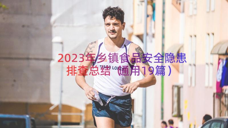 2023年乡镇食品安全隐患排查总结（通用19篇）