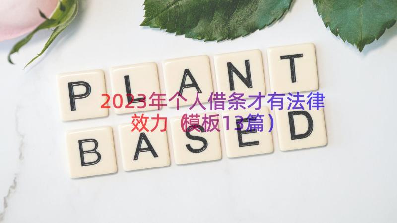 2023年个人借条才有法律效力（模板13篇）