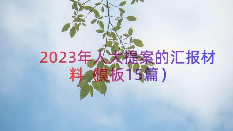 2023年人大提案的汇报材料（模板15篇）