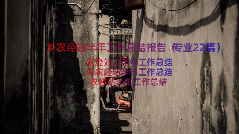 乡农经站半年工作总结报告（专业22篇）