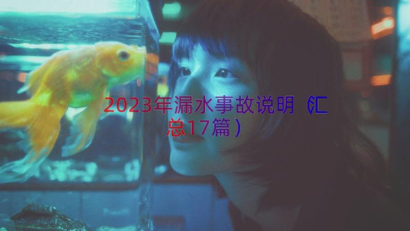 2023年漏水事故说明（汇总17篇）