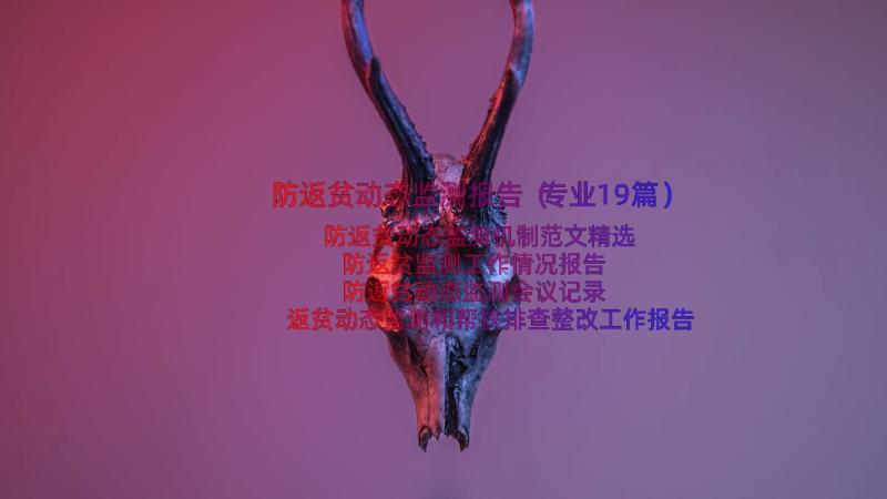 防返贫动态监测报告（专业19篇）