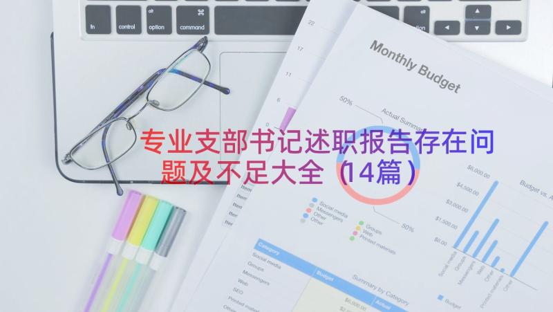 专业支部书记述职报告存在问题及不足大全（14篇）