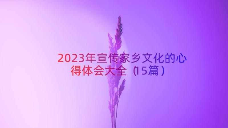 2023年宣传家乡文化的心得体会大全（15篇）