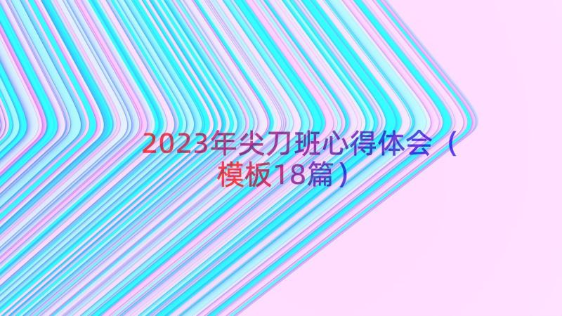 2023年尖刀班心得体会（模板18篇）