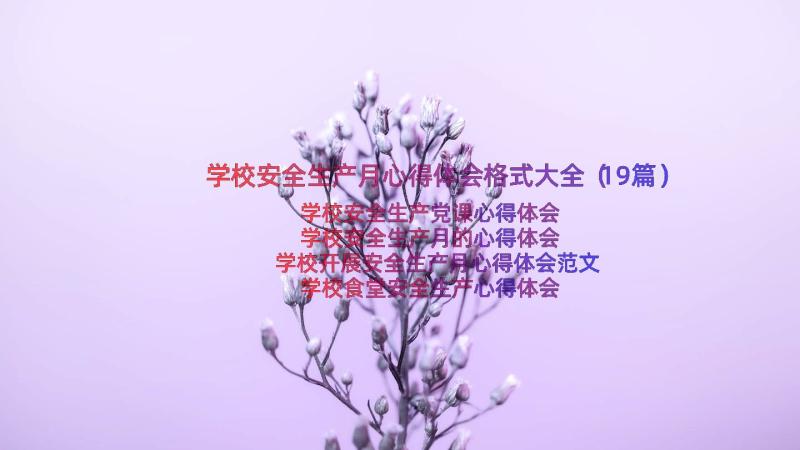 学校安全生产月心得体会格式大全（19篇）