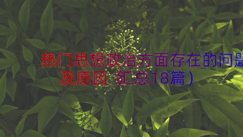 热门思想政治方面存在的问题及原因（汇总18篇）