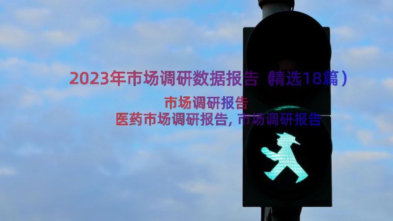 2023年市场调研数据报告（精选18篇）