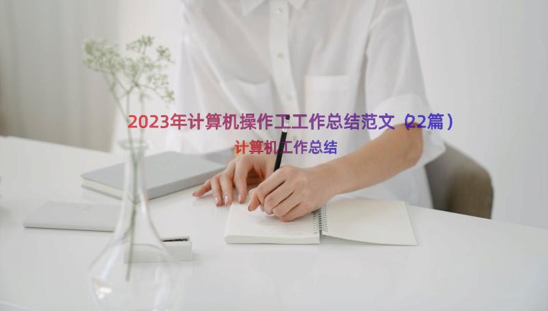 2023年计算机操作工工作总结范文（22篇）
