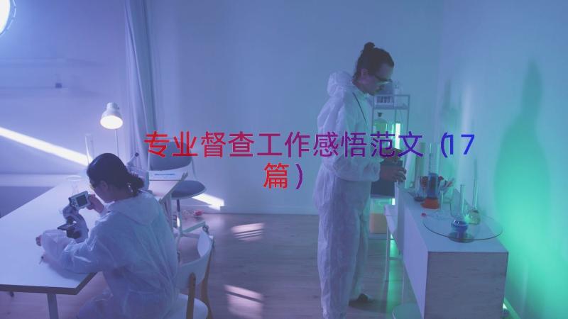 专业督查工作感悟范文（17篇）