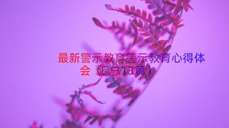 最新警示教育警示教育心得体会（汇总13篇）