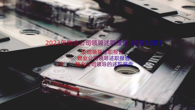 2023年物业公司领导述职报告（优秀15篇）