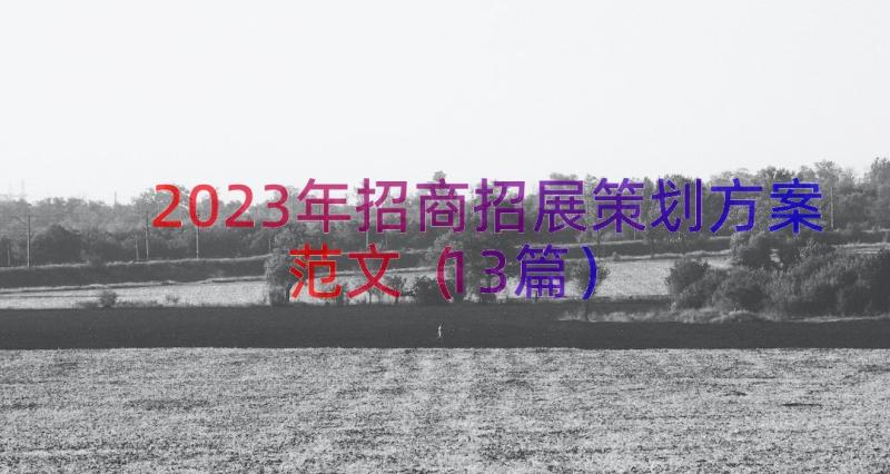 2023年招商招展策划方案范文