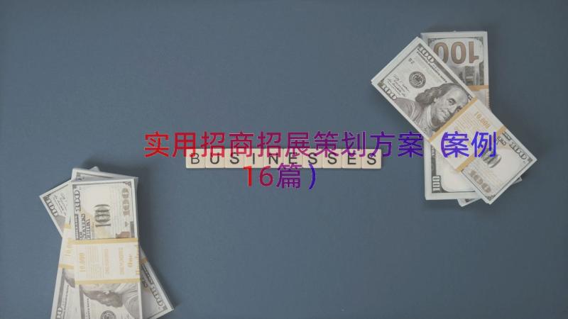 实用招商招展策划方案（案例16篇）