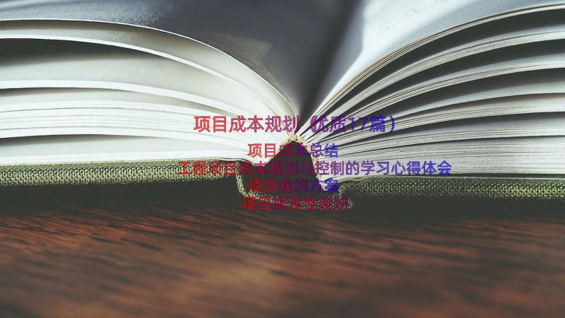 项目成本规划（优质17篇）