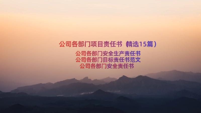 公司各部门项目责任书（精选15篇）