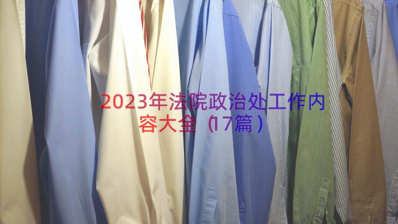 2023年法院政治处工作内容大全（17篇）