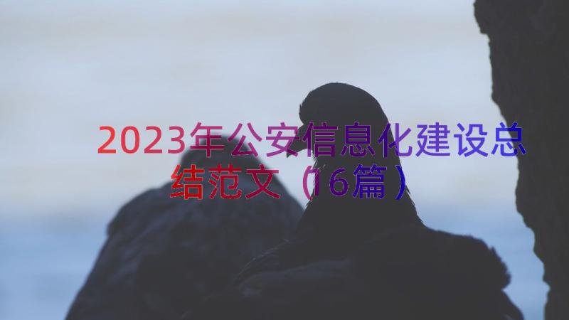 2023年公安信息化建设总结范文（16篇）