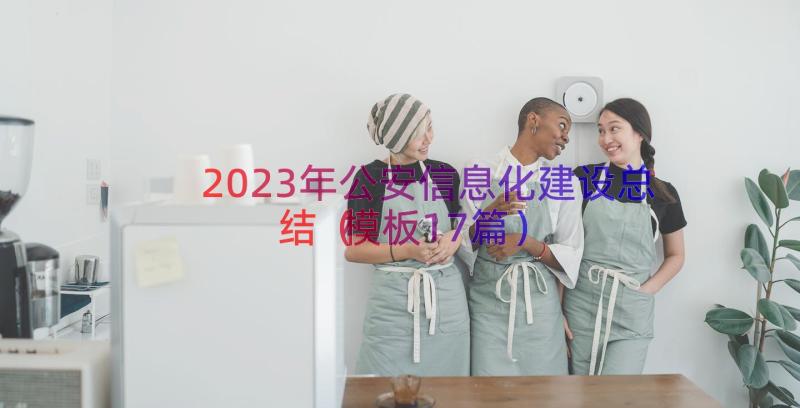 2023年公安信息化建设总结（模板17篇）