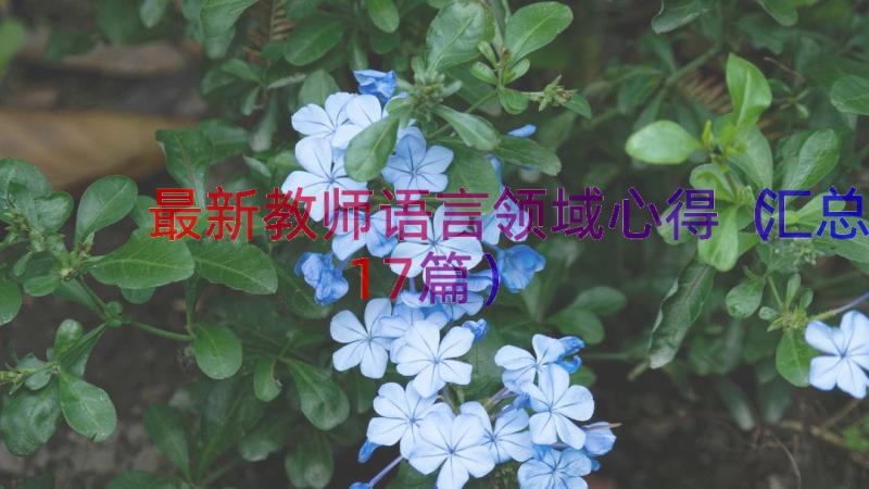 最新教师语言领域心得（汇总17篇）