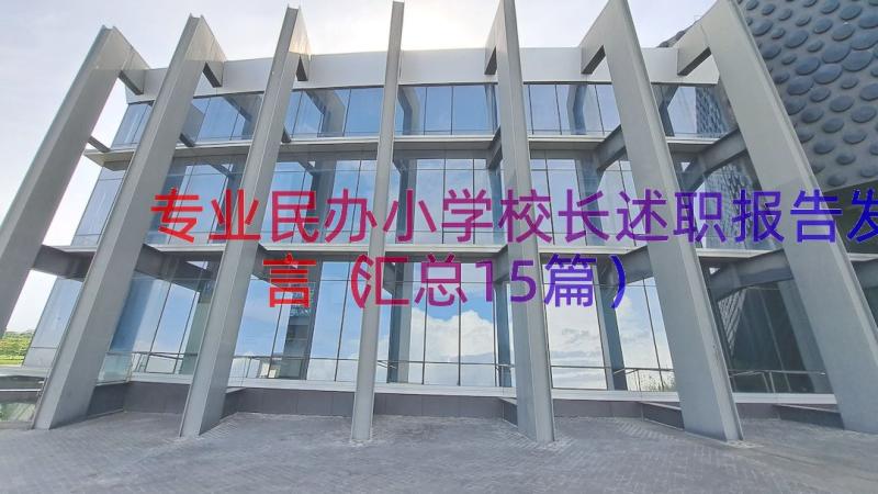 专业民办小学校长述职报告发言（汇总15篇）