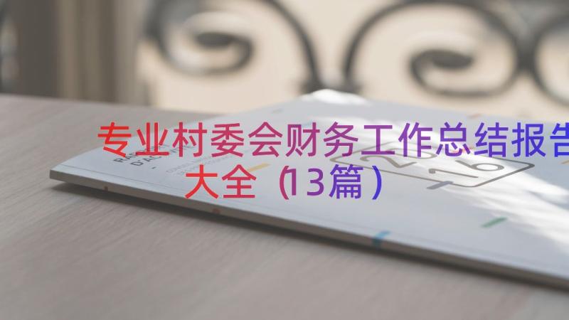 专业村委会财务工作总结报告大全（13篇）