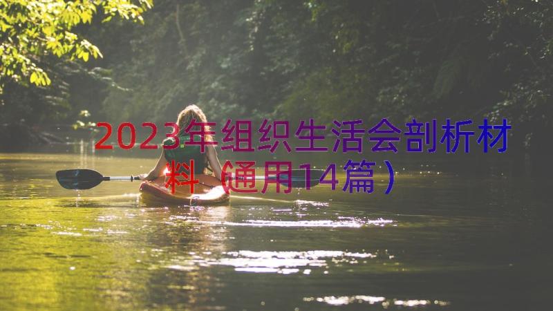 2023年组织生活会剖析材料（通用14篇）