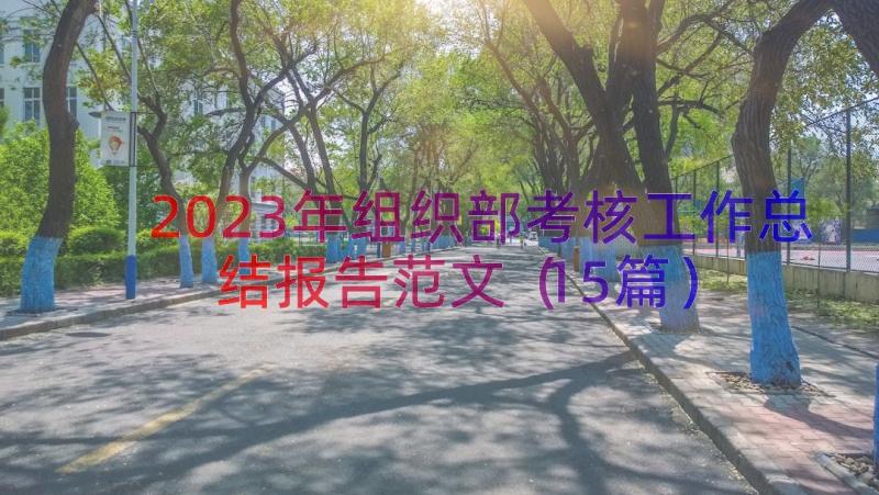 2023年组织部考核工作总结报告范文（15篇）